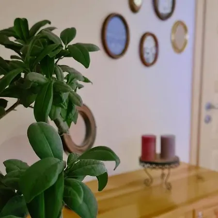 Boronia Сasa de vacaciones Borowo