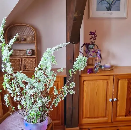 Boronia Дом отдыха